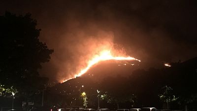 Ettari vegetazione a fuoco nella notte,evacuate case e residence Ettari vegetazione a fuoco nella notte,evacuate case e residence