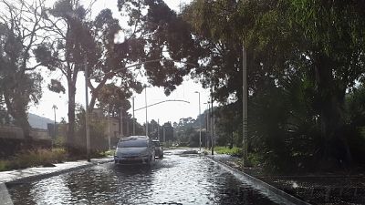 Bomba d'acqua e forte vento, Comune chiude parchi cittadini Bomba d'acqua e forte vento, Comune chiude parchi cittadini