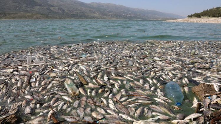 أطنان من السمك النافق على شواطئ بحيرة لبنانية في كارثة بيئية