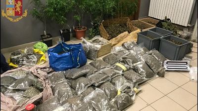 .Polizia smantella banda, sequestrati 63 chili di stupefacente .Polizia smantella banda, sequestrati 63 chili di stupefacente