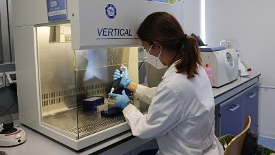 Rapporto tamponi/positivi stabile al 6.3%, crescono i ricoveri