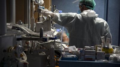 Consiglio di Stato ha accolto i ricorsi Ministero Università Consiglio di Stato ha accolto i ricorsi Ministero Università