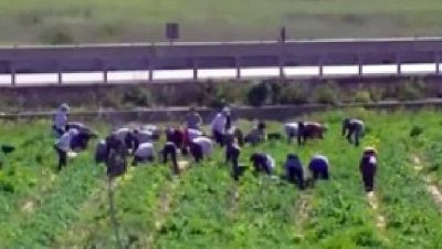 Uno in carcere, 5 ai domiciliari e 15 in obbligo di dimora Uno in carcere, 5 ai domiciliari e 15 in obbligo di dimora