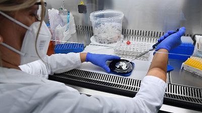 Eseguiti 282.942 tamponi.Un paziente in più in rianimazione(11) Eseguiti 282.942 tamponi.Un paziente in più in rianimazione(11)