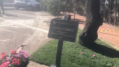 Omaggio al dottor Khair, in trincea per pazienti e sua Palestina Omaggio al dottor Khair, in trincea per pazienti e sua Palestina