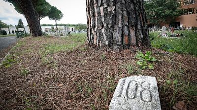 Sulle sepolture solo un numero collegato al registro cimiteriale Sulle sepolture solo un numero collegato al registro cimiteriale