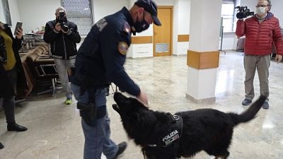 6 arresti Ps Ascoli. Revocato R. Cittadinanza alcuni indagati 6 arresti Ps Ascoli. Revocato R. Cittadinanza alcuni indagati