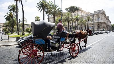 Soste ogni 45 minuti,max 7 ore al giorno. Lunghi stop mesi caldi Soste ogni 45 minuti,max 7 ore al giorno. Lunghi stop mesi caldi
