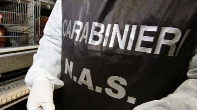 Operazione Nas. Coinvolti veterinari e gestori azienda calabrese Operazione Nas. Coinvolti veterinari e gestori azienda calabrese