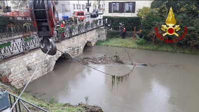 Messa in salvo anche una coppia Messa in salvo anche una coppia