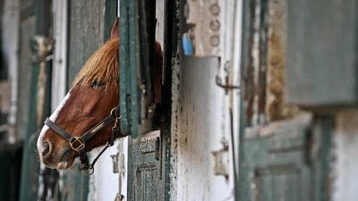 Sassari, imputati chiedono sospensione e "messa alla prova" Sassari, imputati chiedono sospensione e "messa alla prova"