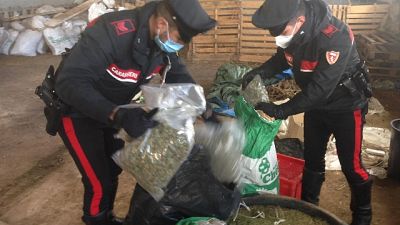Blitz carabinieri, arrestato un 39enne del Nuorese Blitz carabinieri, arrestato un 39enne del Nuorese