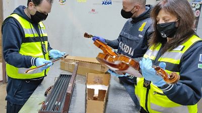 Un passeggero li aveva nascosti in valigia con del denaro Un passeggero li aveva nascosti in valigia con del denaro