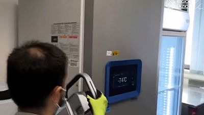 Una parte delle dosi raggiugerà invece mete più lontane Una parte delle dosi raggiugerà invece mete più lontane