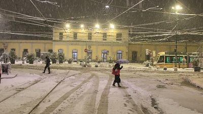 Caduto a causa della neve, Caduto a causa della neve,
