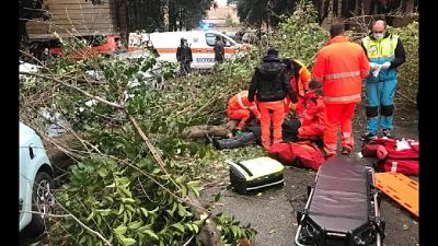 Nella Capitale disagi per pioggia e forte vento Nella Capitale disagi per pioggia e forte vento