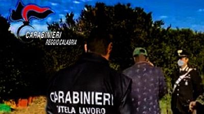 Controlli anticaporalato, denunciati dai Cc tre imprenditori Controlli anticaporalato, denunciati dai Cc tre imprenditori