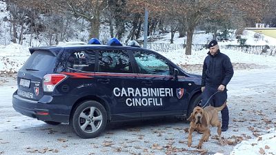 I coniugi Neumair sono spariti nel nulla oltre una settimana fa I coniugi Neumair sono spariti nel nulla oltre una settimana fa