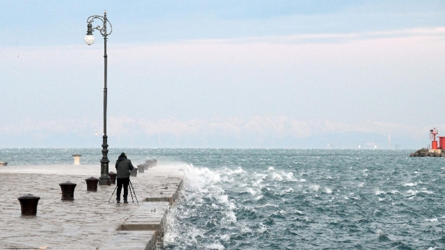 Rami e alberi caduti, numerosi interventi. Bora forte a Trieste