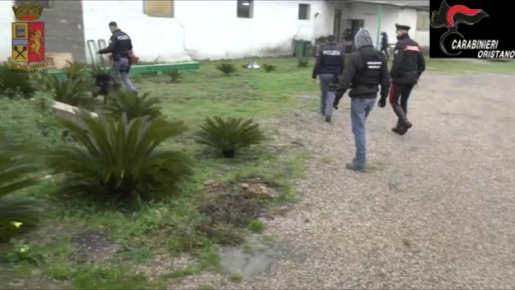 Operazione antidroga polizia e carabinieri, indagini proseguono