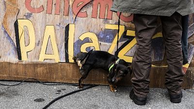 Incontro tra sindaca e attivisti, "sono dalla loro parte" Incontro tra sindaca e attivisti, "sono dalla loro parte"