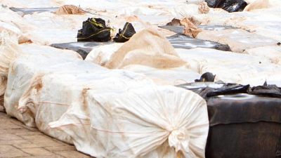 Droga dal Sud America, inchiesta Dia Venezia Droga dal Sud America, inchiesta Dia Venezia