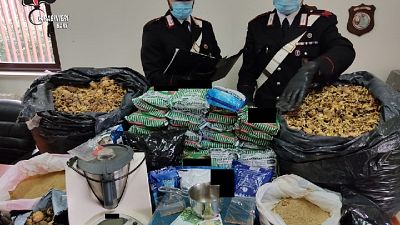 A Santeramo in colle, sequestrati anche 10 kg di sigarette A Santeramo in colle, sequestrati anche 10 kg di sigarette