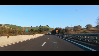Stavano portando cani e gatti per adozione nel nord Italia Stavano portando cani e gatti per adozione nel nord Italia