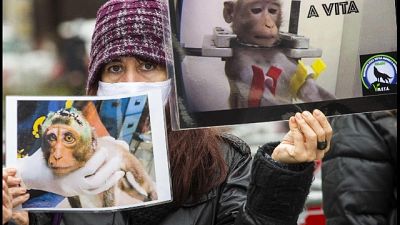 In piazza Duomo, contro la vivisezione In piazza Duomo, contro la vivisezione