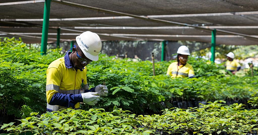 Strong Sustainability Performance sees Perseus Mining deliver US$385 million to Ivorian and Ghanaian Economies in 2020 - Vimarsana News