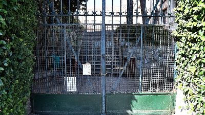 Legambiente-Ecosistema Scuola, 29% ha bisogno interventi subito Legambiente-Ecosistema Scuola, 29% ha bisogno interventi subito
