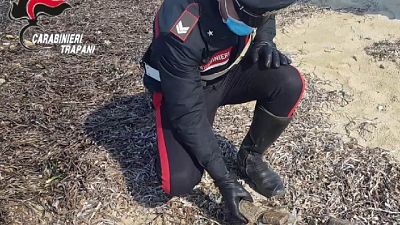 E' il quarto dall'inizio dell'anno, indagini dei carabinieri E' il quarto dall'inizio dell'anno, indagini dei carabinieri