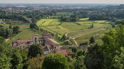 Franceschini, tutela è un settore su cui l'Italia è più avanti Franceschini, tutela è un settore su cui l'Italia è più avanti