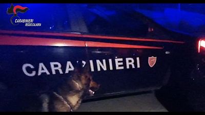 Aggressione al culmine rissa. Contuso finanziere intervenuto Aggressione al culmine rissa. Contuso finanziere intervenuto