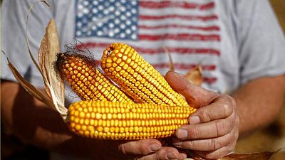 GRANOS-Maíz en EEUU supera un máximo de ocho años debido a la preocupación por la oferta mundial GRANOS-Maíz en EEUU supera un máximo de ocho años debido a la preocupación por la oferta mundial