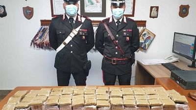 Il "giallo" dei panetti abbandonati, oltre 900 kg in cinque anni Il "giallo" dei panetti abbandonati, oltre 900 kg in cinque anni