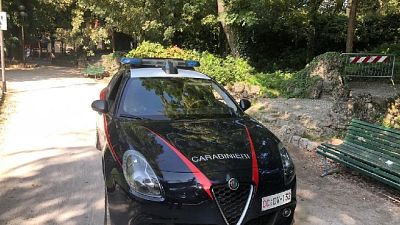 Trovata priva di sensi nel parco a Rivolta d'Adda, nel Cremonese Trovata priva di sensi nel parco a Rivolta d'Adda, nel Cremonese