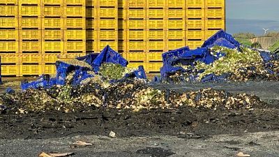 Distrutti oltre 3.000 cassoni per la raccolta degli ortaggi Distrutti oltre 3.000 cassoni per la raccolta degli ortaggi