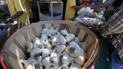 In Friuli, aveva raccolto le erbe per farne un condimento In Friuli, aveva raccolto le erbe per farne un condimento