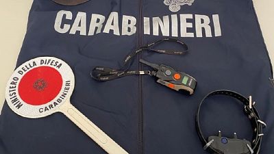 A Modena, l'uomo dovrà pagare 1.500 euro A Modena, l'uomo dovrà pagare 1.500 euro