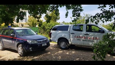 Due arresti e tre denunce, indagine Dda e Carabinieri forestali Due arresti e tre denunce, indagine Dda e Carabinieri forestali