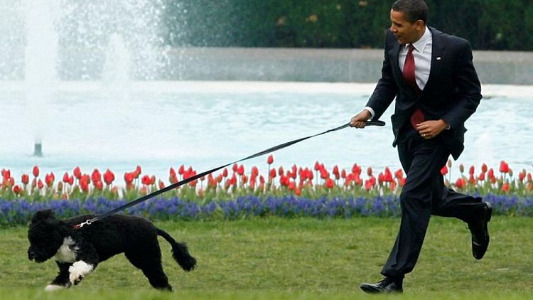 رحيل (بو) كلب عائلة أوباما الوفي