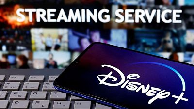 Disney+ Q2 subscriber additions slow, outlook still bright - J.P.Morgan Disney+ Q2 subscriber additions slow, outlook still bright - J.P.Morgan