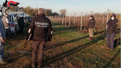 Operazione CC Nucleo Tutela Lavoro di Venezia Operazione CC Nucleo Tutela Lavoro di Venezia