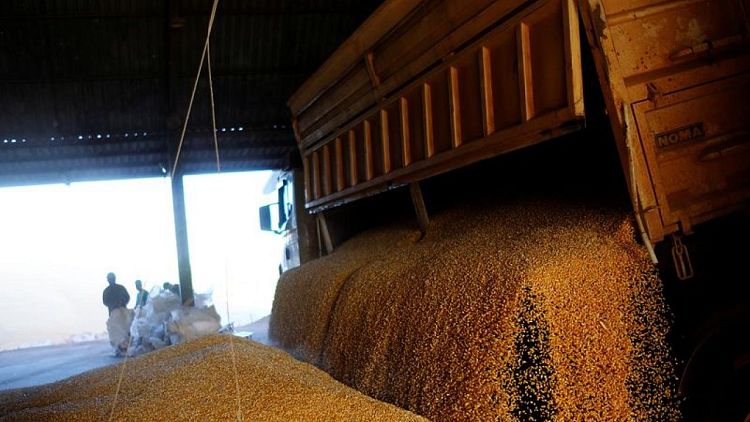 Temporada de exportación de maíz de Brasil comienza lentamente, de acuerdo a datos de envíos