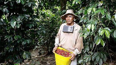 Exportación de 500.000 sacos de café están retrasadas por protestas en Colombia Exportación de 500.000 sacos de café están retrasadas por protestas en Colombia