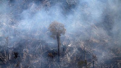Cámara baja de Brasil aprueba controvertido proyecto de ley para relajar permisos ambientales Cámara baja de Brasil aprueba controvertido proyecto de ley para relajar permisos ambientales