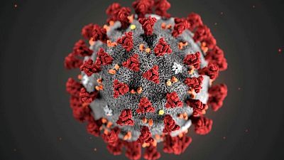 EEUU pide una nueva investigación "transparente" sobre el origen de la pandemia