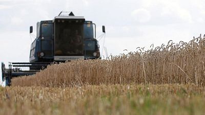 Ucrania dice que siembra de granos de inicios de primavera casi ha terminado Ucrania dice que siembra de granos de inicios de primavera casi ha terminado