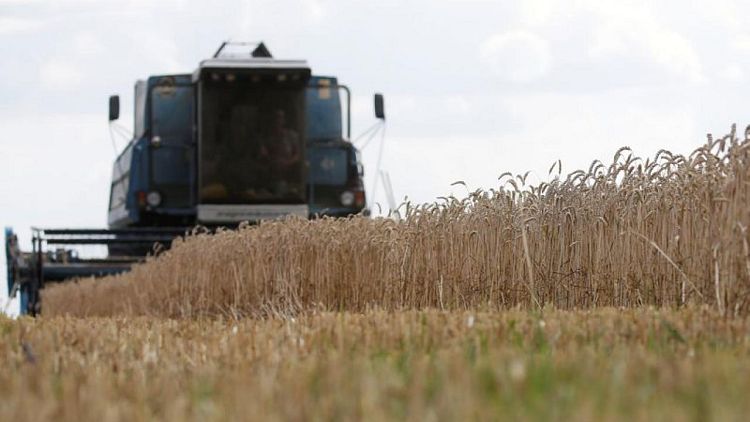 Ucrania dice que siembra de granos de inicios de primavera casi ha terminado